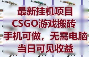 最新挂G项目，CSGO游戏搬砖，手机可做，无需电脑，当日见收益【揭秘】-副业资源站