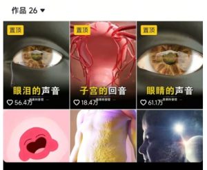 抖音坚果3D动画科普项目，撸视频号分成和抖音伙伴计划，适合零基础小白-副业资源站