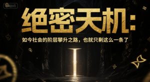 付费文章：绝密天机：如今社会的阶层攀升之路，也就只剩这么一条了-副业资源站