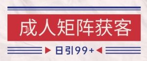 小红书某音橙人赛道引流获客，自热矩阵日引200+【揭秘】-副业资源站