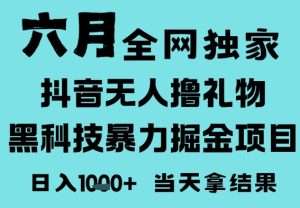 25年6月高爆抖音无人直播最新撸音浪掘金项目,门槛低小白可做,无脑日入1k,可矩阵放大【揭秘】-副业资源站