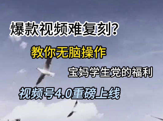 视频号4.0重磅上线，爆款视频难复刻？教你无脑操作宝妈学生党的福利【揭秘】-副业资源站