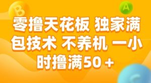 零撸天花板,独家满包技术 不养机 一小时撸满50+【揭秘】-副业资源站