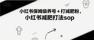 小红书保姆级养号+打减肥粉，小红书减肥打法sop-副业资源站