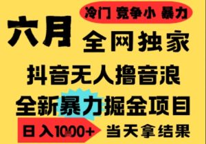 25年6月高爆抖音无人直播最新撸音浪掘金项目,小白可做,无脑日入1k+,门槛低可批量矩阵【揭秘】-副业资源站