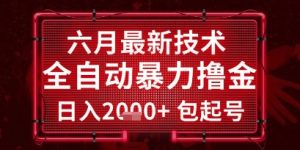 六月最新技术全自动暴力撸金,稳定日入2k+包起号,长期稳定【揭秘】-副业资源站