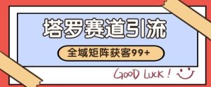 小红书某音塔罗赛道引流获客 自热矩阵日引200+【揭秘】-副业资源站