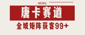 小红书某音唐卡赛道引流获客 自热矩阵日引200+【揭秘】-副业资源站