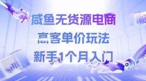 咸鱼无货源电商，高客单价玩法，新手1个月入门-副业资源站