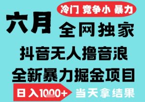 2025年6月高爆抖音无人直播最新撸音浪掘金项目，无脑日入1k+，低门槛小白可做，可矩阵放大【揭秘】-副业资源站