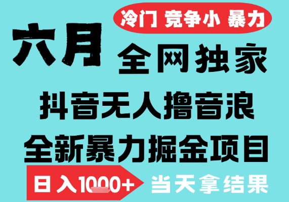 2025年6月高爆抖音无人直播最新撸音浪掘金项目，无脑日入1k+，低门槛小白可做，可矩阵放大【揭秘】-副业资源站