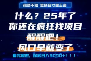 什么?25年你还在疯狂找项目做,醒醒吧,看完这些你全都懂了!【揭秘】-副业资源站