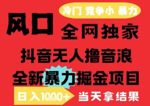 25年6月高爆抖音无人直播最新撸音浪掘金项目，解放双手小白可做，无脑日入1k+，门槛低【揭秘】-副业资源站