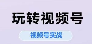 玩转视频号，视频号实战系列课-副业资源站