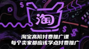 淘宝高阶付费推广课,每个卖家都应该学点付费推广-副业资源站