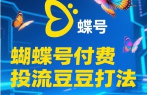 2025蝴蝶号付费投流豆豆打法，助新手快速掌握付费流量撬动自然流的核心玩法-副业资源站