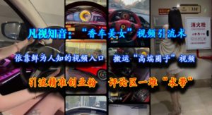 凡视知音:“香车美女”视频引流术,依靠鲜为人知的视频入口,搬运“高端圈子”视频,引流精准创业粉,评论区一堆“求带”-副业资源站