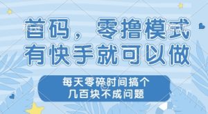 首码零撸项目，有快手就可以做，每天业务时间搞个几张不是问题【揭秘】-副业资源站