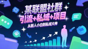 某联盟社群，引流+私域+项目，从新人小白到私域大神-副业资源站