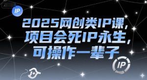 2025网创类IP课,项目会死IP永生,可操作一辈子-副业资源站