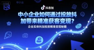 中小企业如何通过投放抖加带来精准获客变现?企业实体抖加投放精准变现秘籍-副业资源站
