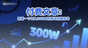 付费文章：拆解一个年入300W的喜马拉雅账号-副业资源站