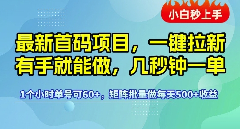最新首码项目，一键拉新有手就能做，几秒钟一单，1个小时单号可60+，矩阵批量做每天5张【揭秘】-副业资源站