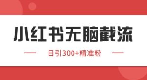 小红书截流同行客源，独家野路子获客玩法 日引200+暴力获客【揭秘】-副业资源站