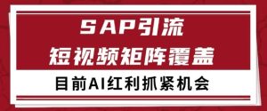 小红书某音sap赛道引流获客 自热矩阵日引200+【揭秘】-副业资源站
