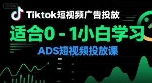 Tiktok短视频广告投放,适合0-1小白学习ADS短视频投放课-副业资源站