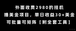 外面收费2980的挂G撸美金项目，单日收益30+美金，可批量可矩阵【揭秘】-副业资源站