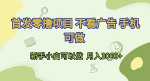 首发零撸项目 不看广告 手机可做 新手小白可以做 月入3k+【揭秘】-副业资源站