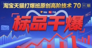 淘宝天猫打爆班原创高阶技术第70期:标品干爆-副业资源站