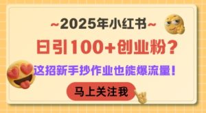 2025年小红书日引100+创业粉?这招新手抄作业也能爆流量!-副业资源站