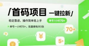 首码一键拉新项目，稳定靠谱，操作简单易上手，单号一小时70+，批量做每天5张【揭秘】-副业资源站