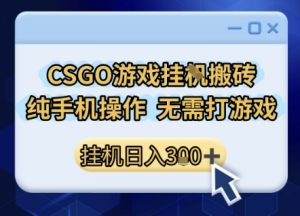 CSGO游戏挂G搬砖，小白纯手机即可操作，不用电脑打游戏，日入3张+，副业网创项目【揭秘】-副业资源站