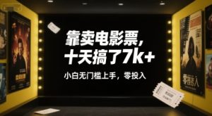 靠卖电影票，十天搞了7k+，小白无门槛上手，零投入【揭秘】-副业资源站