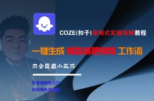 COZE(扣子)保姆式实操拆解教程,一键生成爆款减肥视频工作流,批量产出高质量视频-副业资源站