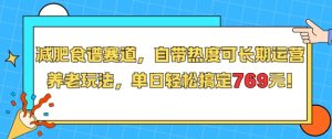 减肥食谱赛道，自带热度可长期运营，养老玩法，单日轻松搞定769-副业资源站