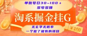 淘系掘金挂G项目,单账号日收益30~100+,多号多得,一个做了就有的项目【揭秘】-副业资源站