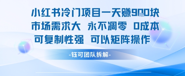小红书冷门项目一天收益9张，市场需求大，0成本，可复制性强可以矩阵操作-副业资源站