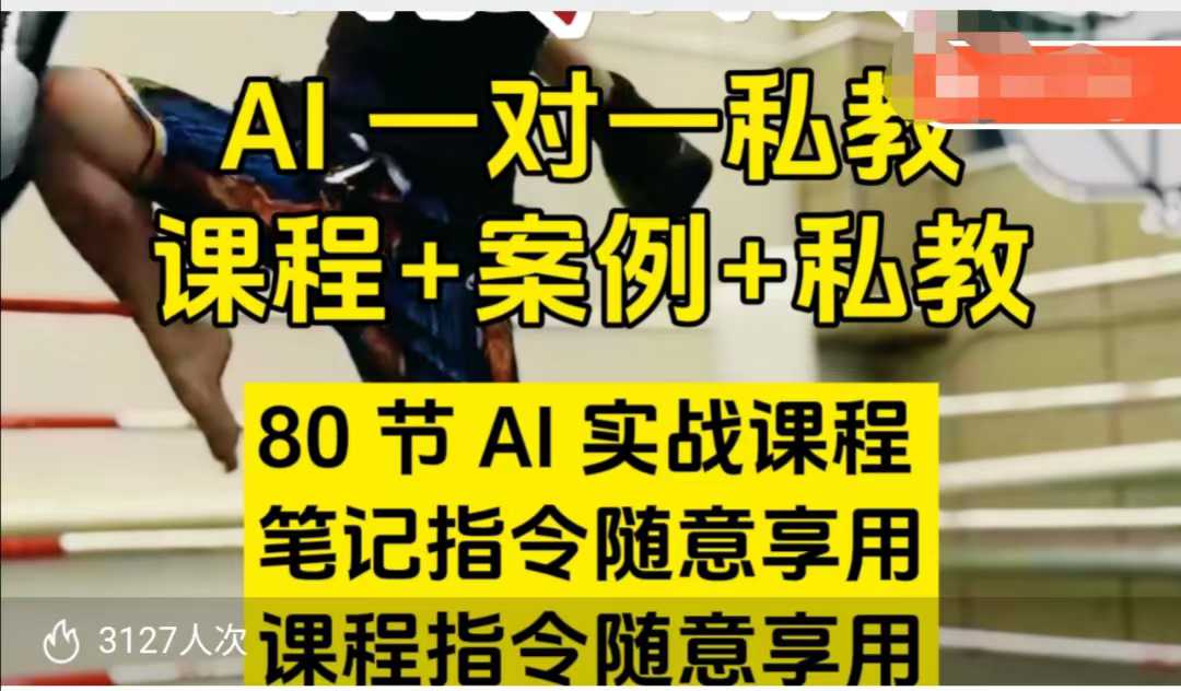 AI指令实战课，课程+案例，80节AI实战课程，笔记指令随意享用，课程指令随意享用（更新7月）-副业资源站