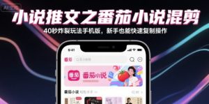 小说推文之番茄小说混剪40秒炸裂玩法手机版，新手也能快速复制操作-副业资源站