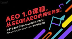 AEO 1.0 课程,从SEO到AE0的基命性转变,手把手教会你用AnswerEngineOptimization技术抢回流量-副业资源站