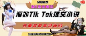 海外tiktok小说推文暴力项目,高停留率,高转化率,上手后一天搞顿饭钱不是问题-副业资源站