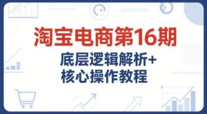 淘宝电商第16期,底层逻辑解析+核心操作教程,运营、推广提升能力的必学课程+配套资料-副业资源站