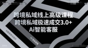 跨境私域线上高级课程,跨境私域极速成交3.0+Ai智能客服-副业资源站
