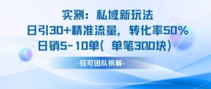 实测私域新玩法日引30加精准流量转化率50%日销5-10单每笔3张-副业资源站