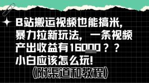 b站掘金计划？搬运视频也能挣拉新的收益，小白应该怎么玩！-副业资源站