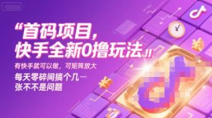 首码项目，快手全新0撸玩法，有快手就可以做，可矩阵放大，每天零碎时间搞个几张不是问题【揭秘】-副业资源站
